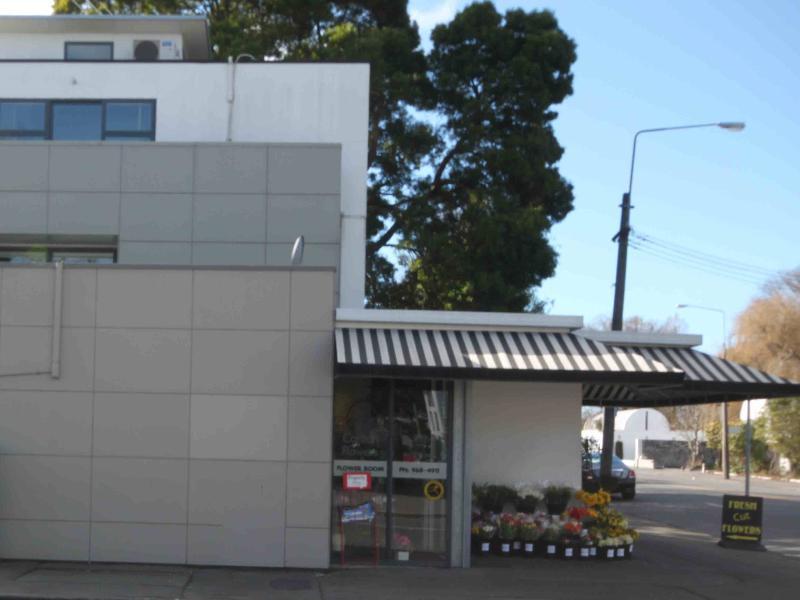Carlton Villa 2 - Christchurch Holiday Homes エクステリア 写真